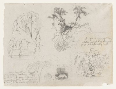 Sketches from South America, Probably from Colombia. Botanical Sketches. A House. by Frederic Edwin Church